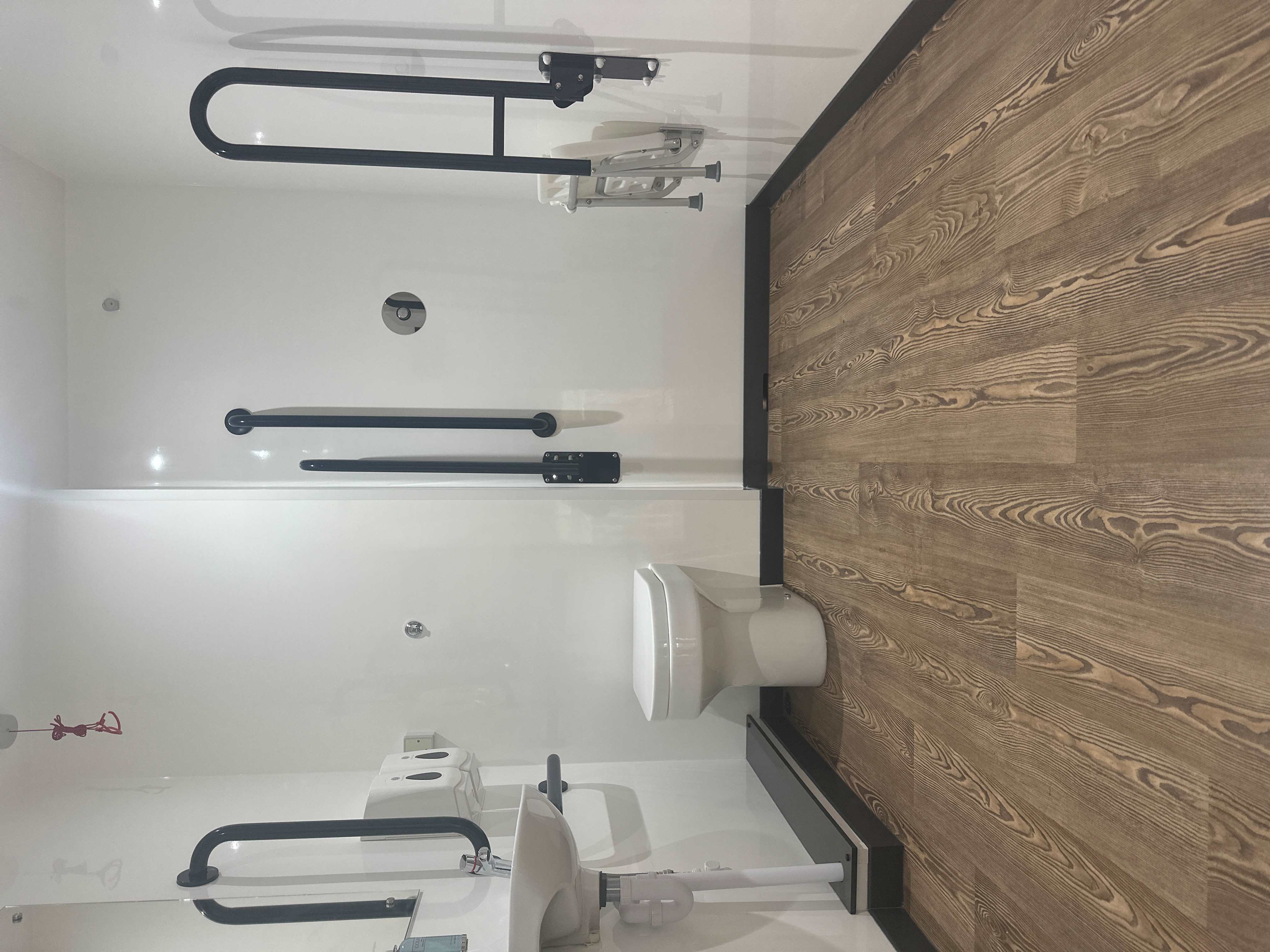 Luxury Accessible Toilet and Shower
